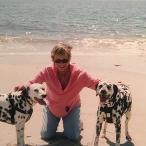 Meet your Posher, Susan